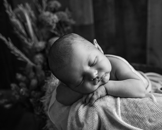 ZII_1779-Edit
