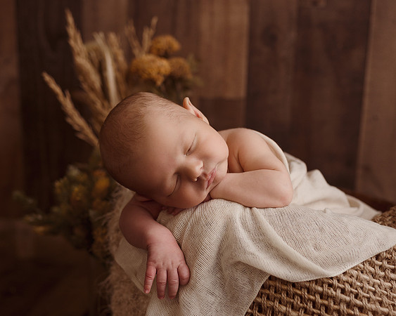 ZII_1807-Edit