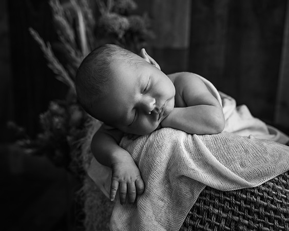 ZII_1808-Edit