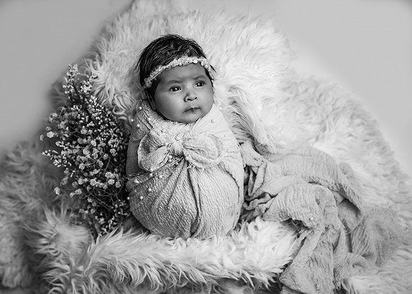 _Z723159-Edit