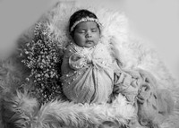 _Z723184-Edit