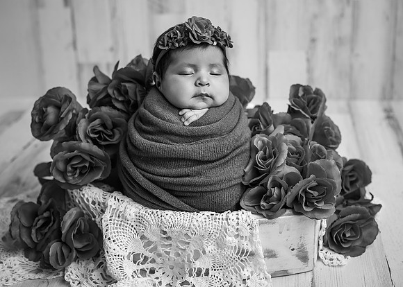 _Z723229-Edit