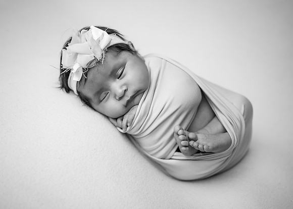 _Z723326-Edit
