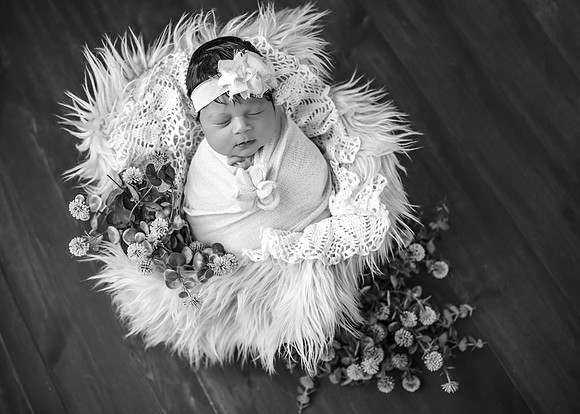 DSC_1961-Edit