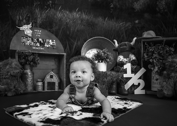 _Z726734