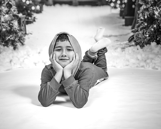 _Z727497