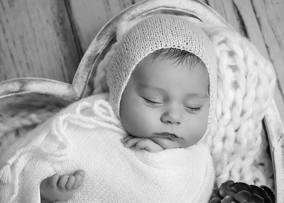 _Z727936-Edit