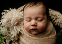 _Z727937-Edit