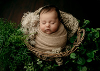 _Z727938-Edit