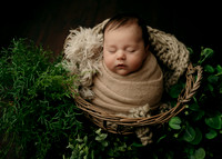 _Z727940-Edit