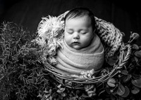 _Z727941-Edit