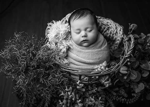 _Z727944-Edit