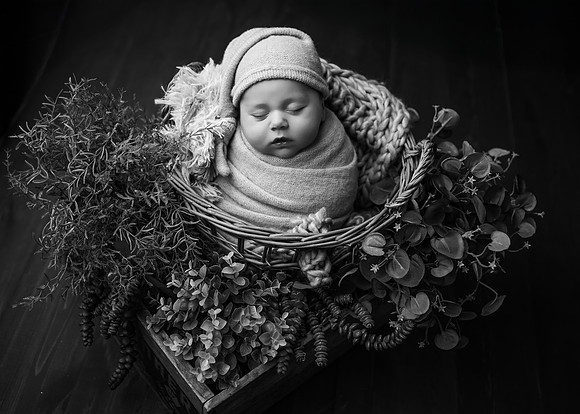 _Z727952-Edit