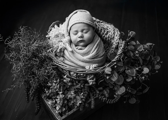 _Z727960-Edit