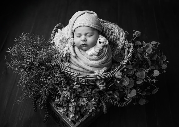 _Z727970-Edit