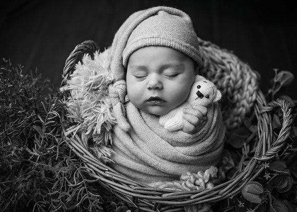 _Z727976-Edit