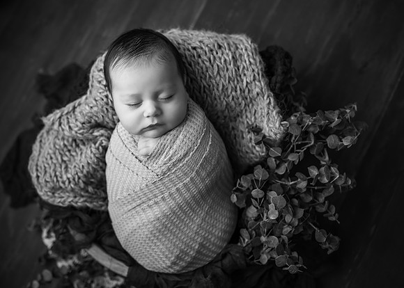 _Z728003-Edit