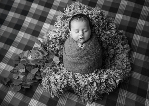 _Z728021-Edit
