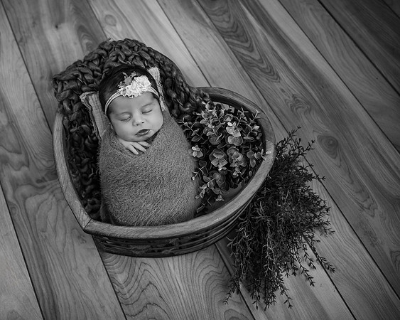 _Z722167-Edit