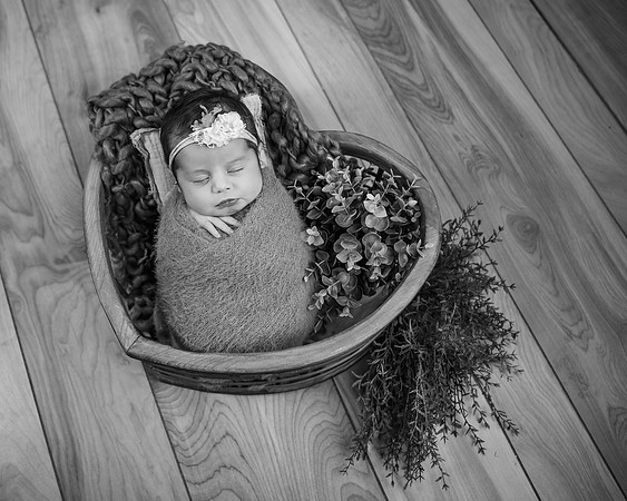 _Z722170-Edit