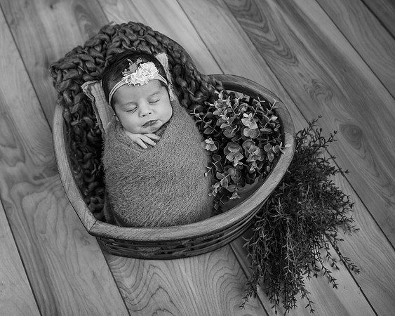 _Z722172-Edit