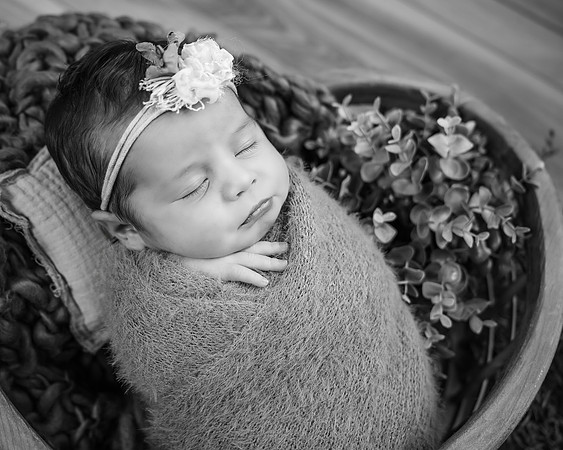 _Z722176-Edit