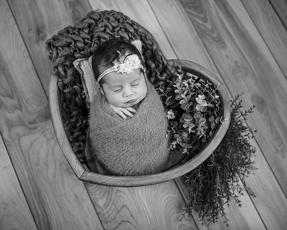 _Z722183-Edit