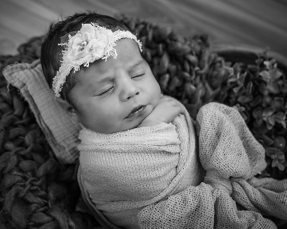 _Z722190-Edit