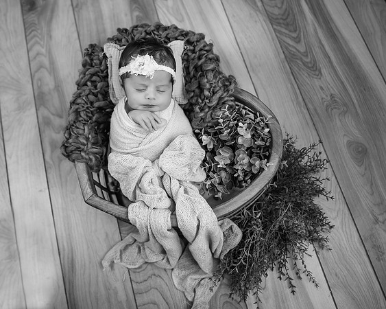 _Z722193-Edit