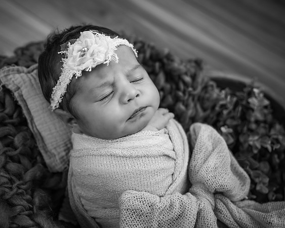 _Z722197-Edit