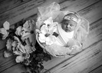 _Z623758-Edit
