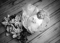 _Z623771-Edit