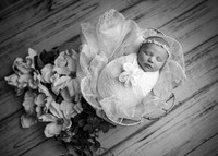 _Z623778-Edit