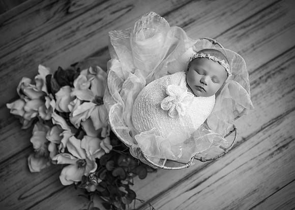 _Z623778-Edit