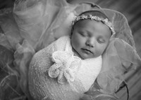_Z623785-Edit