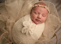 _Z623784-Edit