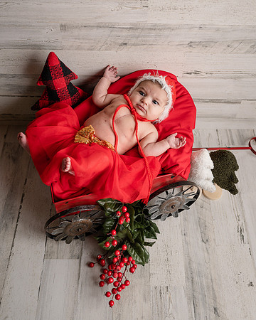 ZII_5241