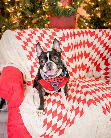 750_7364