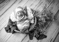 _Z723831-Edit