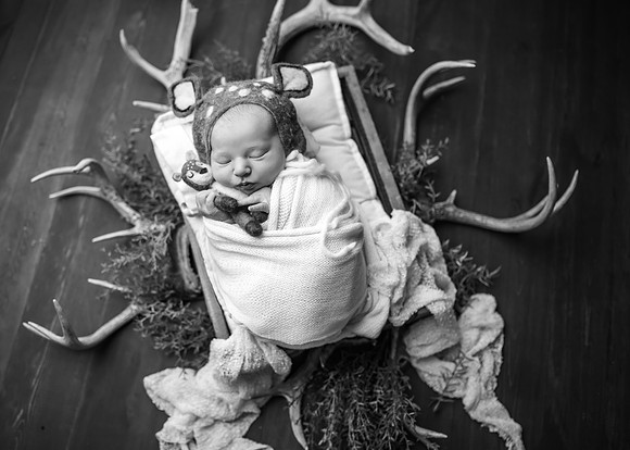 _Z723936-Edit