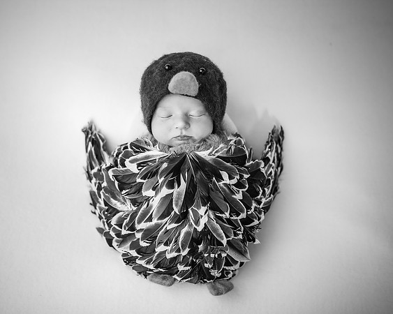 _Z723969-Edit