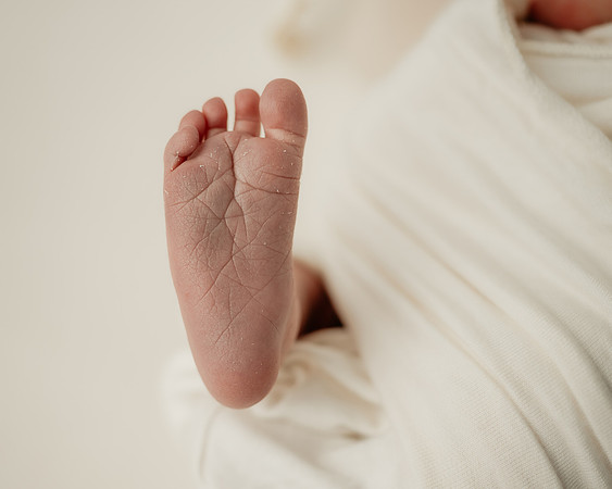 _Z723984