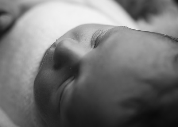 _Z724741