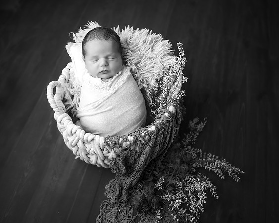 _Z724766-Edit