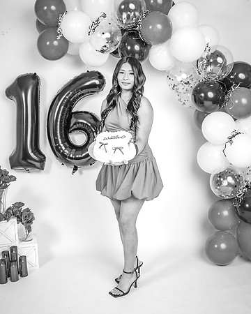 _Z627429