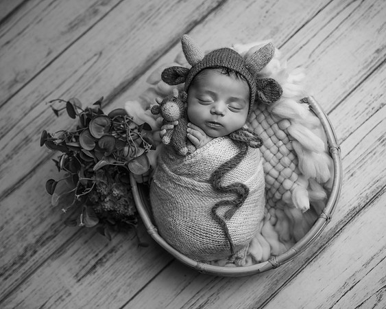 _Z725328-Edit