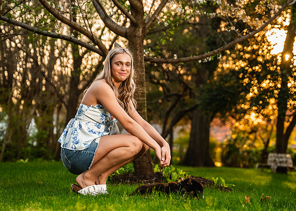 _Z620695