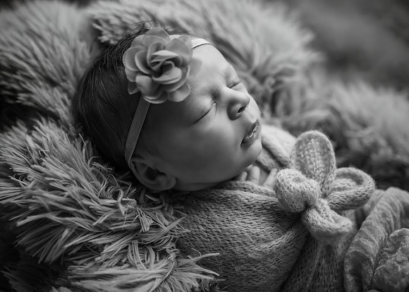 _Z720868-Edit