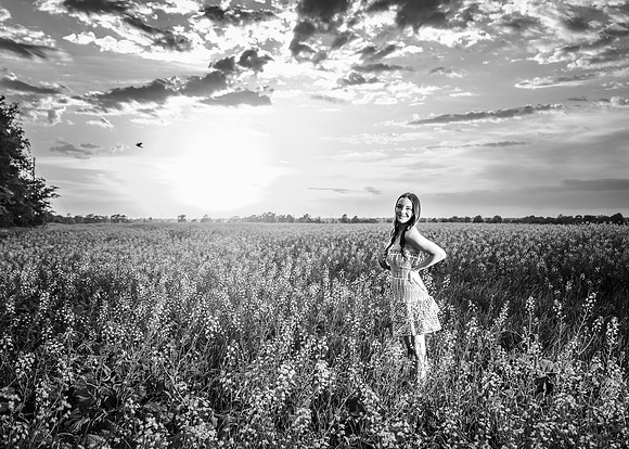 _Z625841