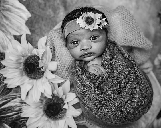 ZII_1613-Edit